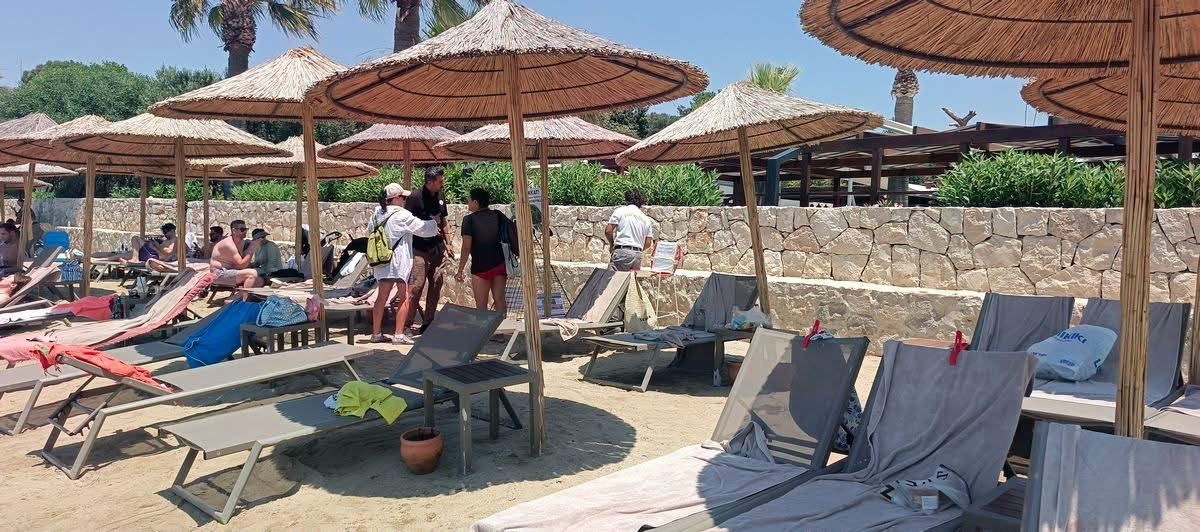 Aydın’ın Kuşadası ve Didim kıyılarında caretta hareketliliği