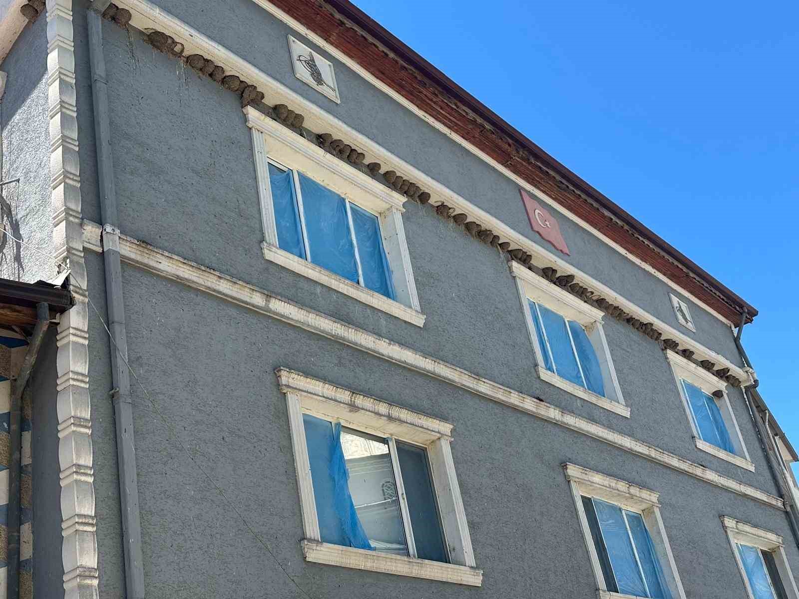 Kırlangıç yuvalarını bozmayıp pencereleri naylonla kapladılar