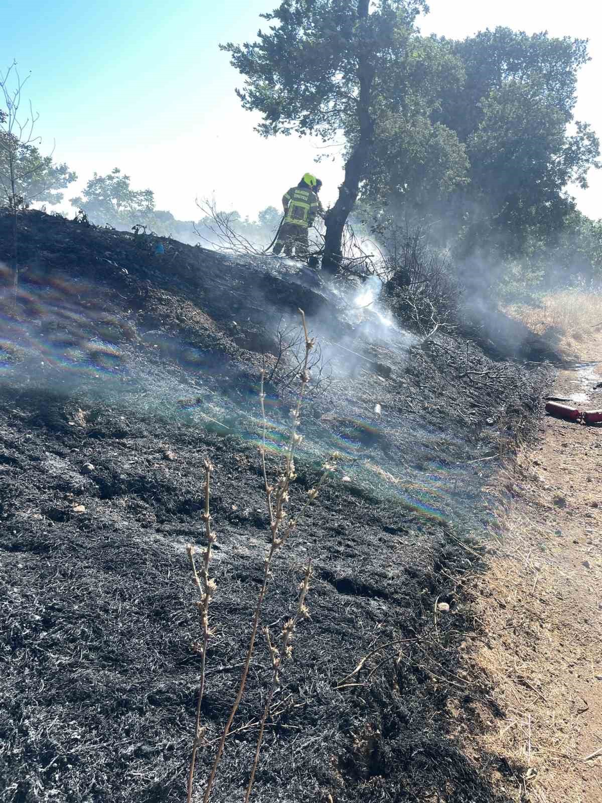 Manyas’ta yanan araçtan otluk alana sıçrayan yangın söndürüldü