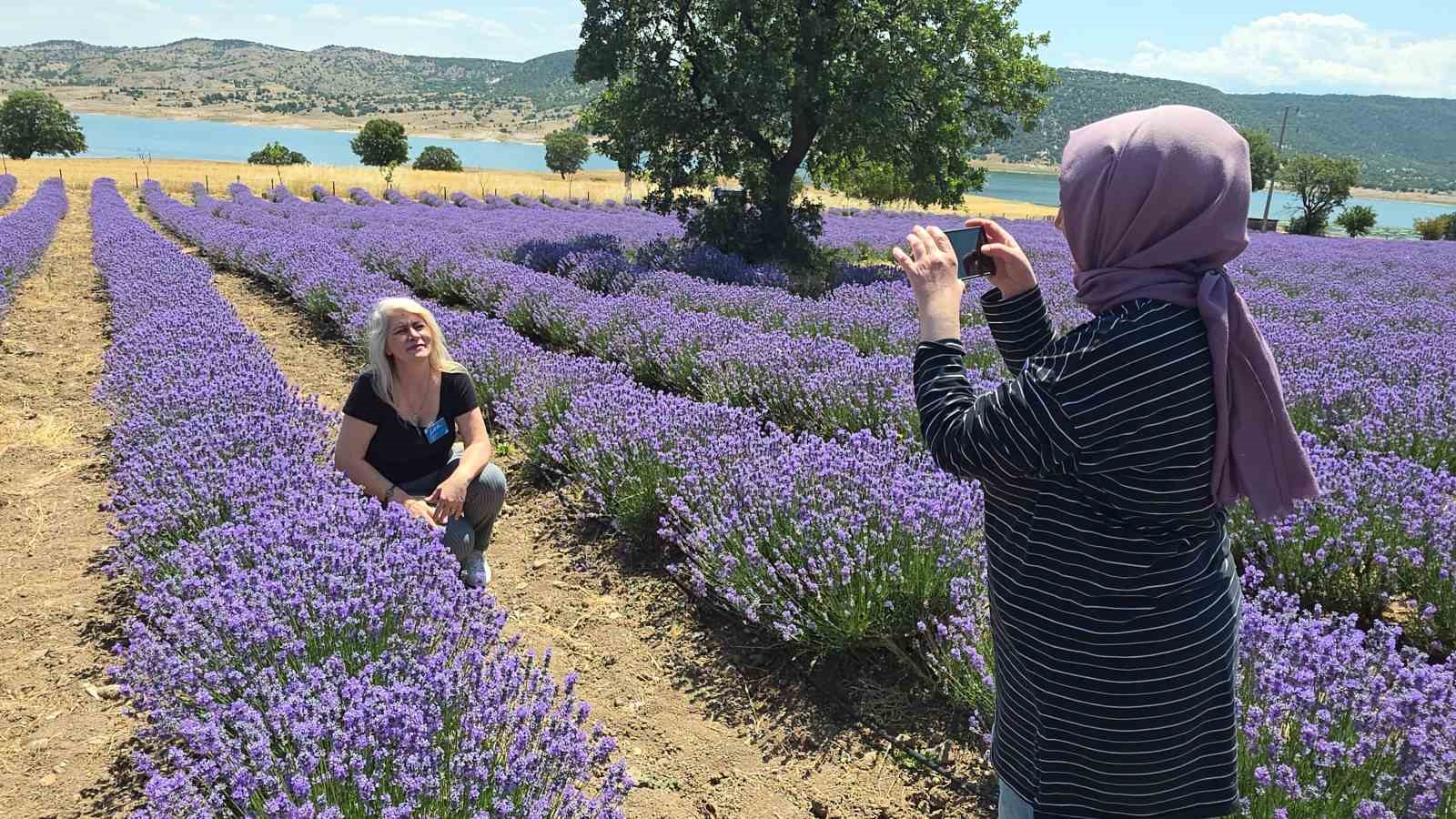 Kütahya’da lavanta bahçesi kapılarını ziyaretçilere açtı