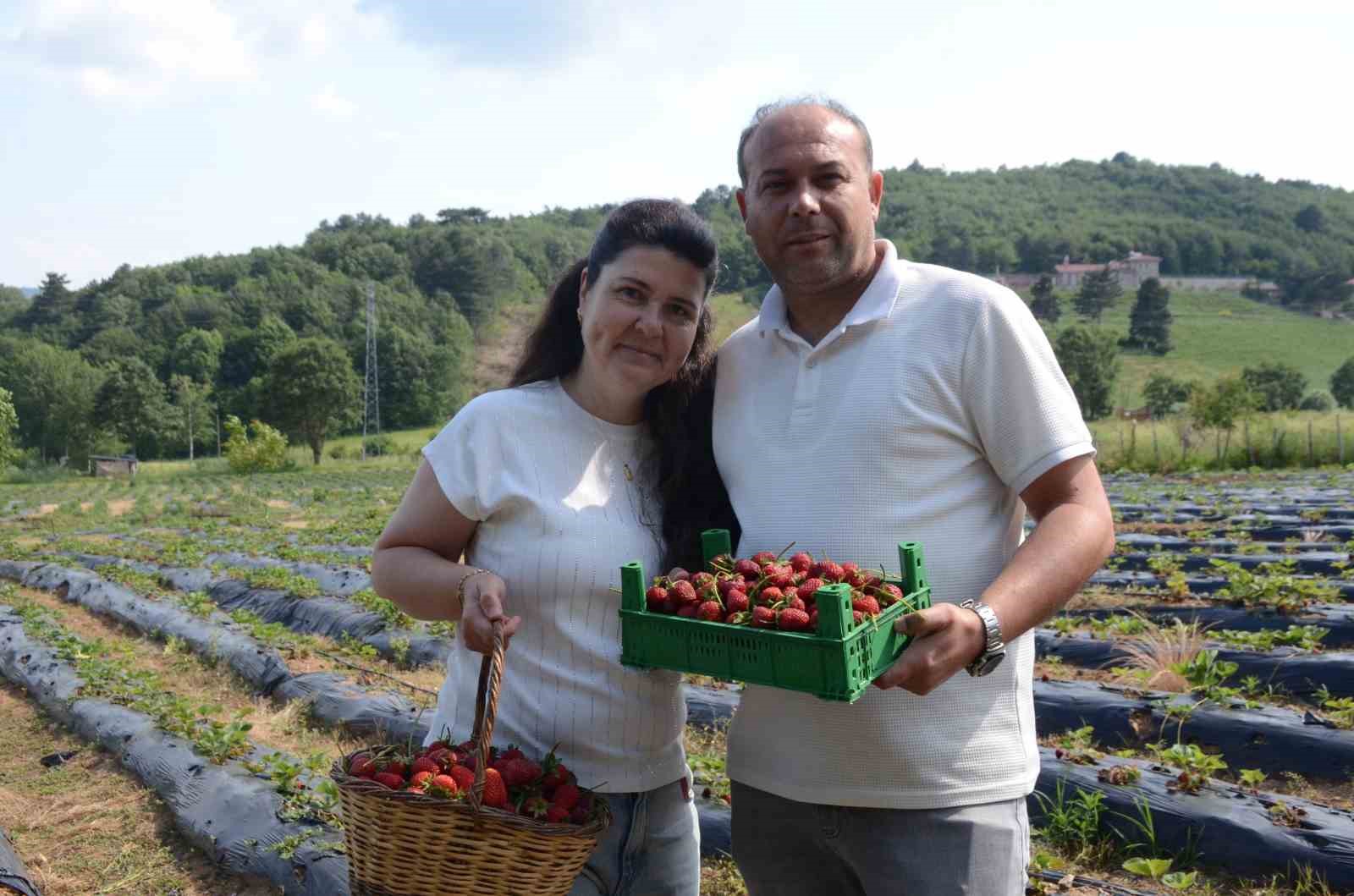 Hobi olarak 2 dönümde başladı, üretimi şimdi 42 dönüme çıktı