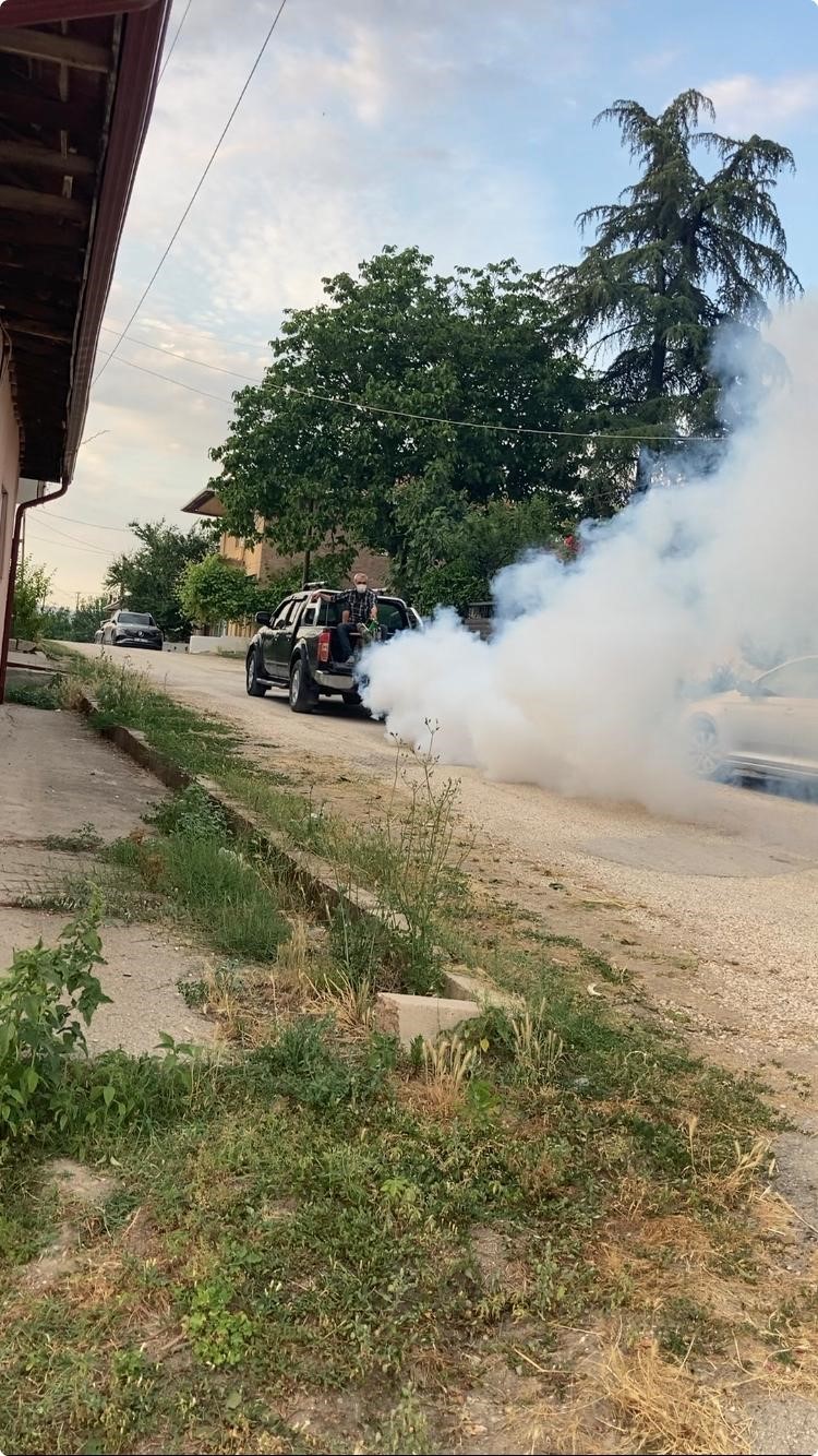 Köyündeki sinek sorununa bizzat kendisi el attı