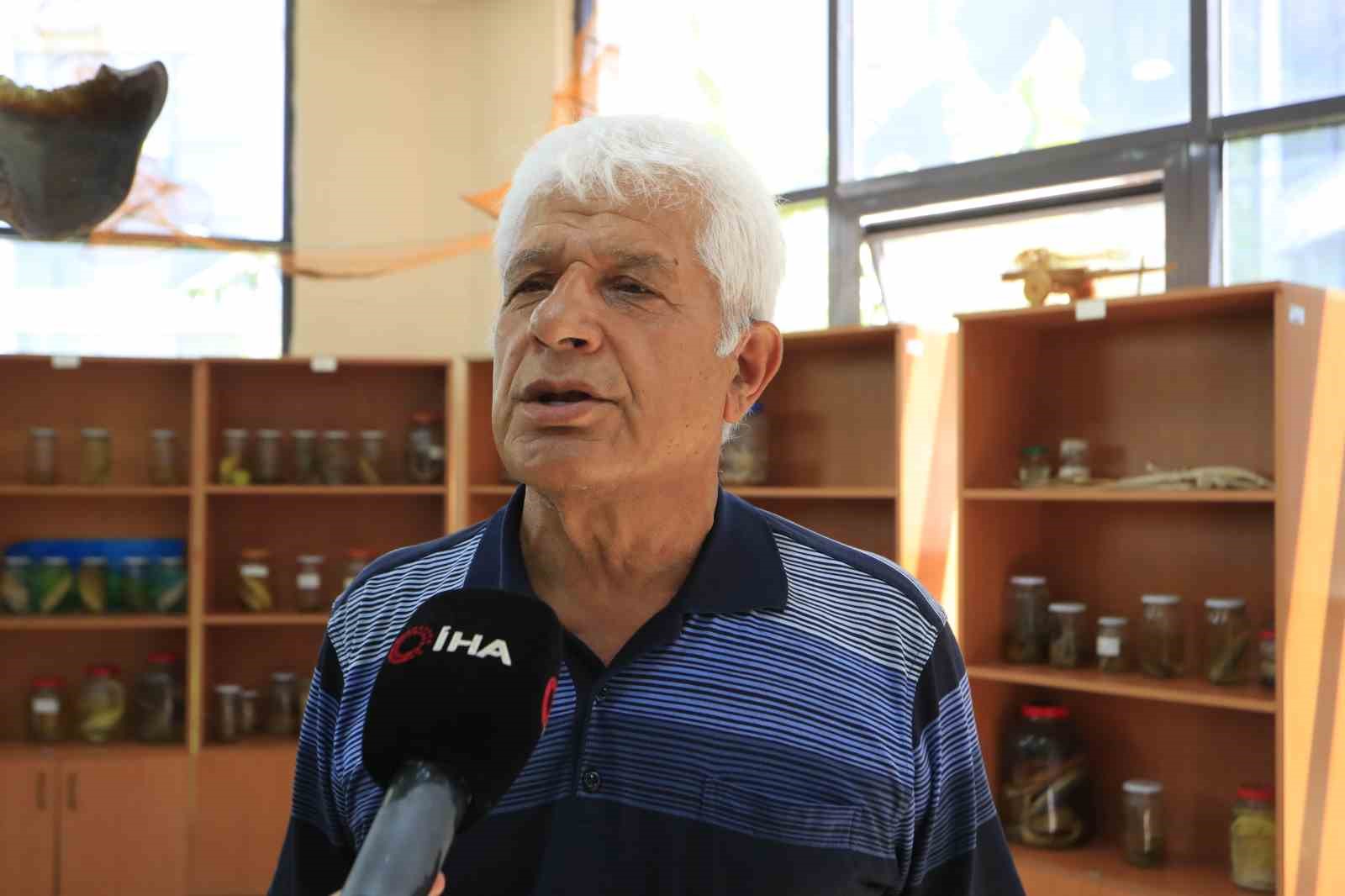 Akdeniz’de vatoz sürüsünün su yüzeyindeki görsel şöleni dron kamerasına yansıdı
