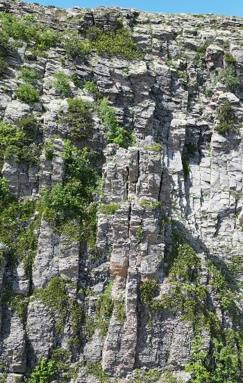 Kraliçe Tamara’nın gizemli mezarı için Posof iddiası gündemde