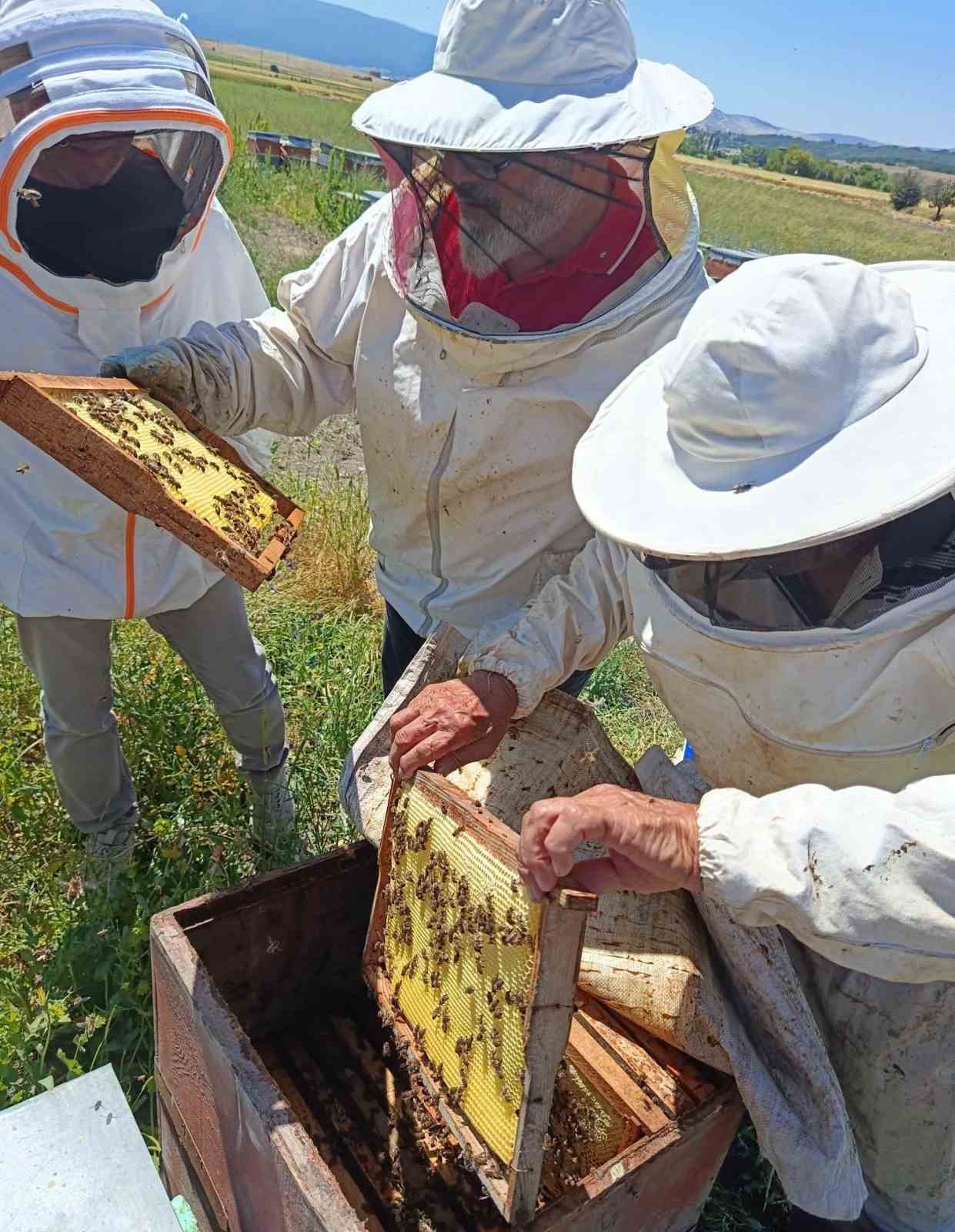 Tavşanlı’da gezginci arıcılık işletmeleri ziyaret edildi