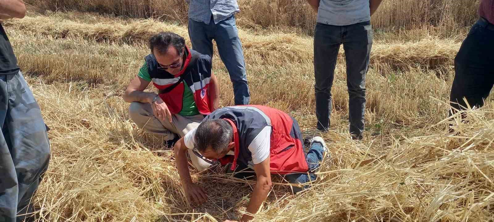 Tavşanlı’da biçerdöver kontrolleri sürüyor