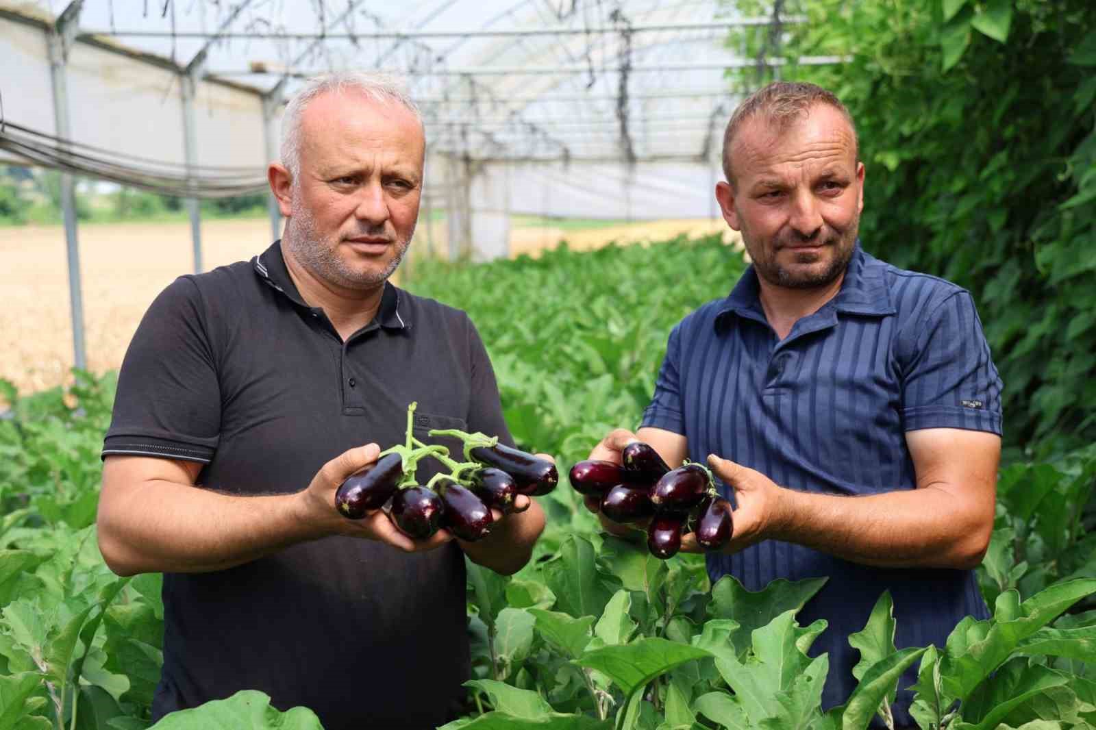 Kocaeli’de yüzde 50 hibe destekli modern seralarda ilk hasat başladı