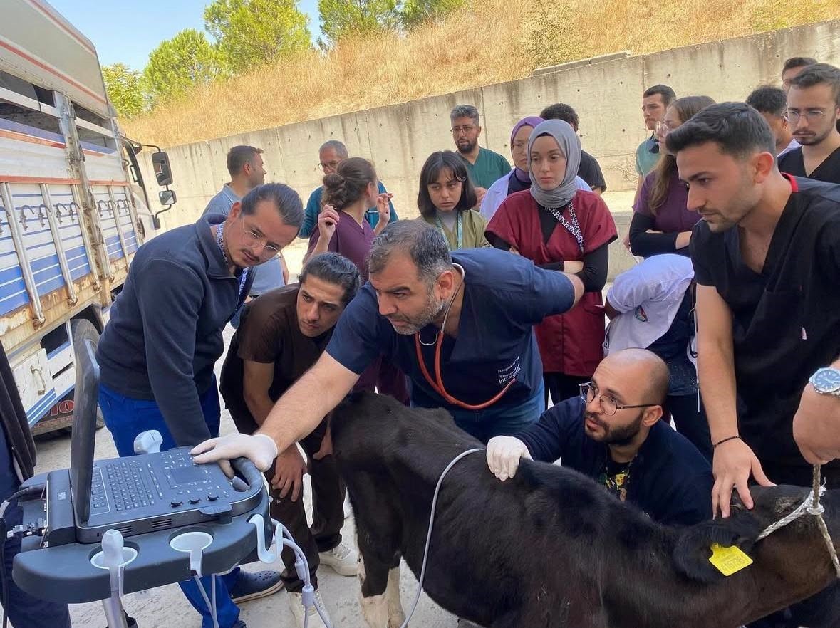 Balıkesir Veteriner Fakültesinde bin 250 hasta hayvana teşhis ve tedavi hizmeti sunuldu