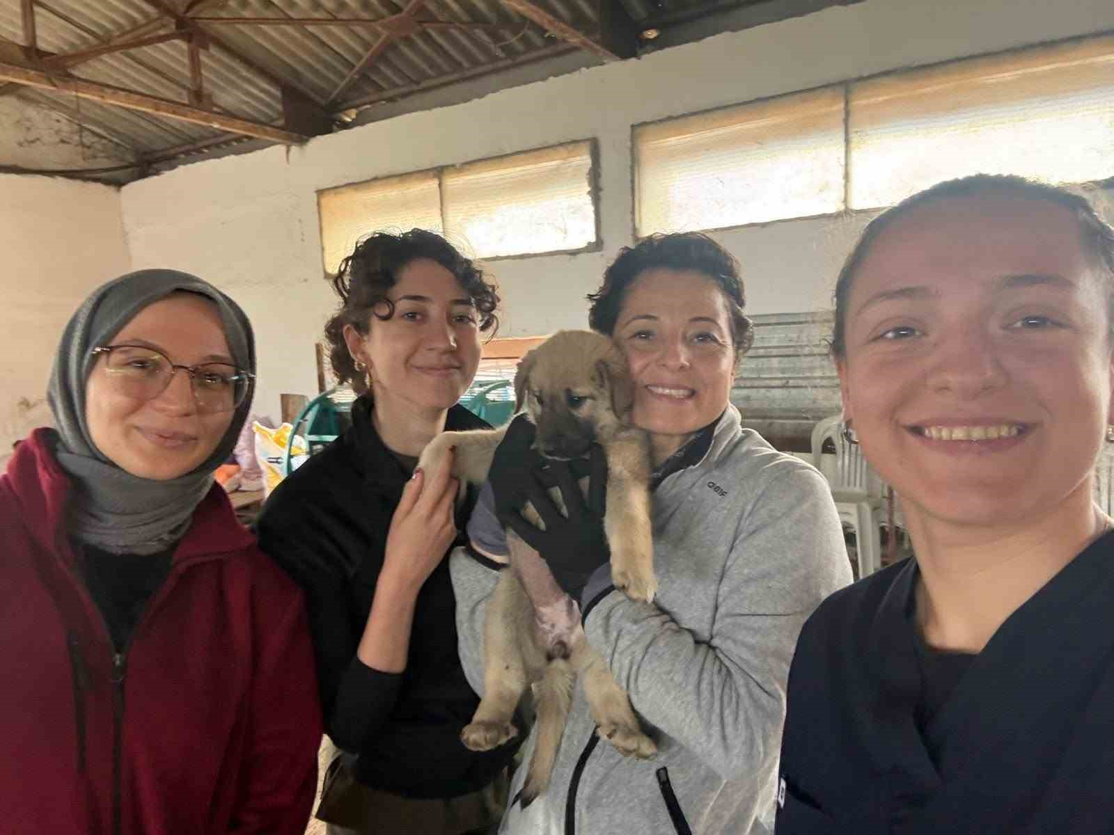 Balıkesir Veteriner Fakültesinde bin 250 hasta hayvana teşhis ve tedavi hizmeti sunuldu
