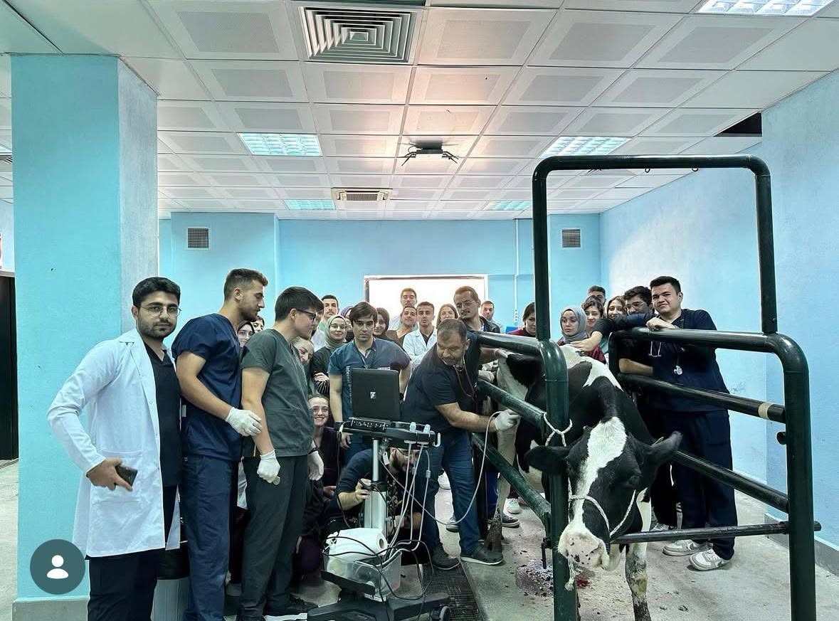Balıkesir Veteriner Fakültesinde bin 250 hasta hayvana teşhis ve tedavi hizmeti sunuldu