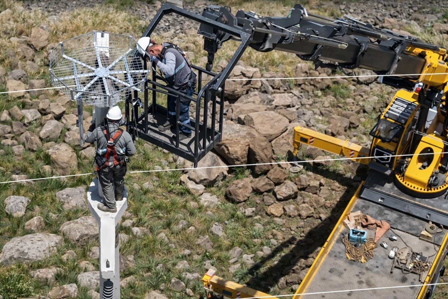 Doğal yaşama enerji veren proje: Göçmen kuşlar Dicle Elektrik ile güvende