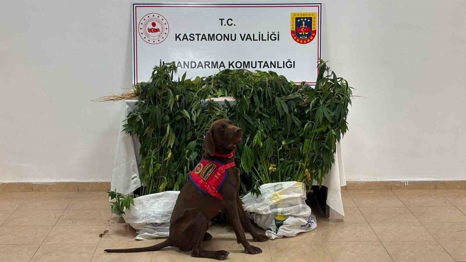 Kastamonu’da uyuşturucu operasyonlarında yakalanan 3 şüpheli tutuklandı