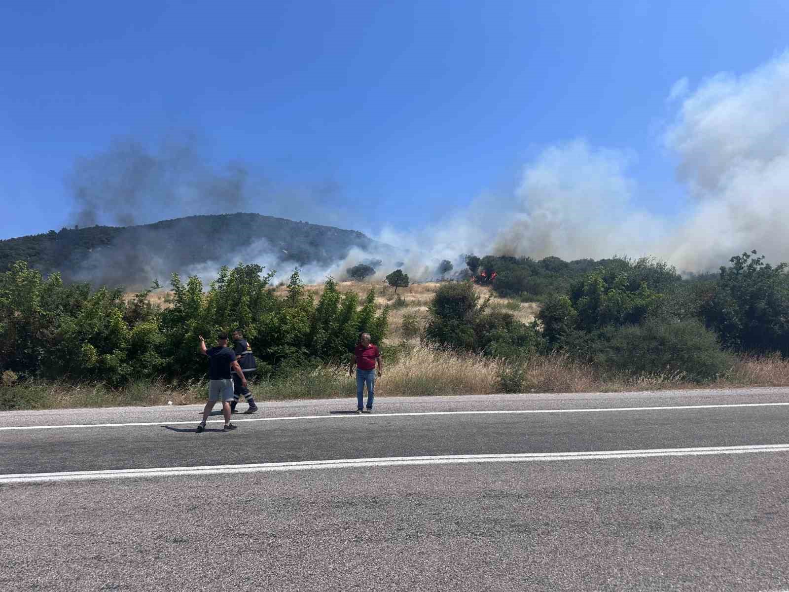 Ayvacık’ta orman yangını