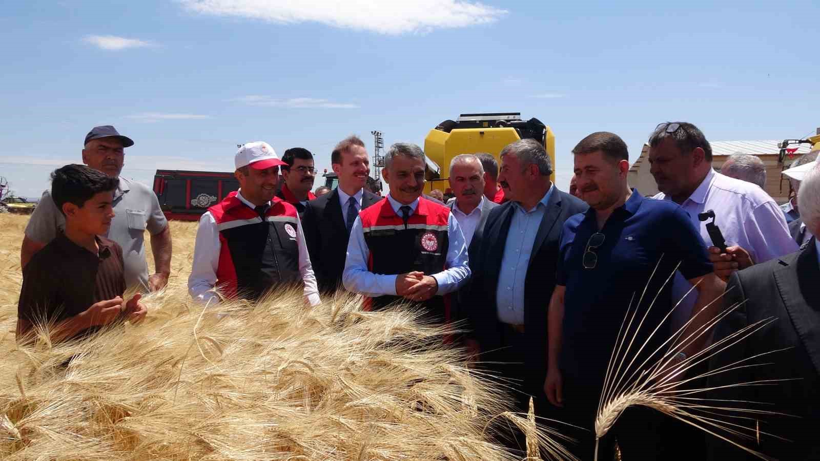 Yozgat’ta arpa hasadı başladı