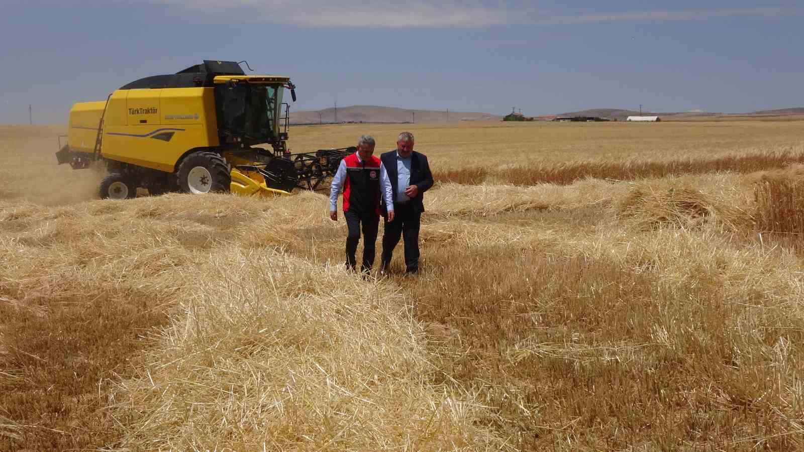 Yozgat’ta arpa hasadı başladı