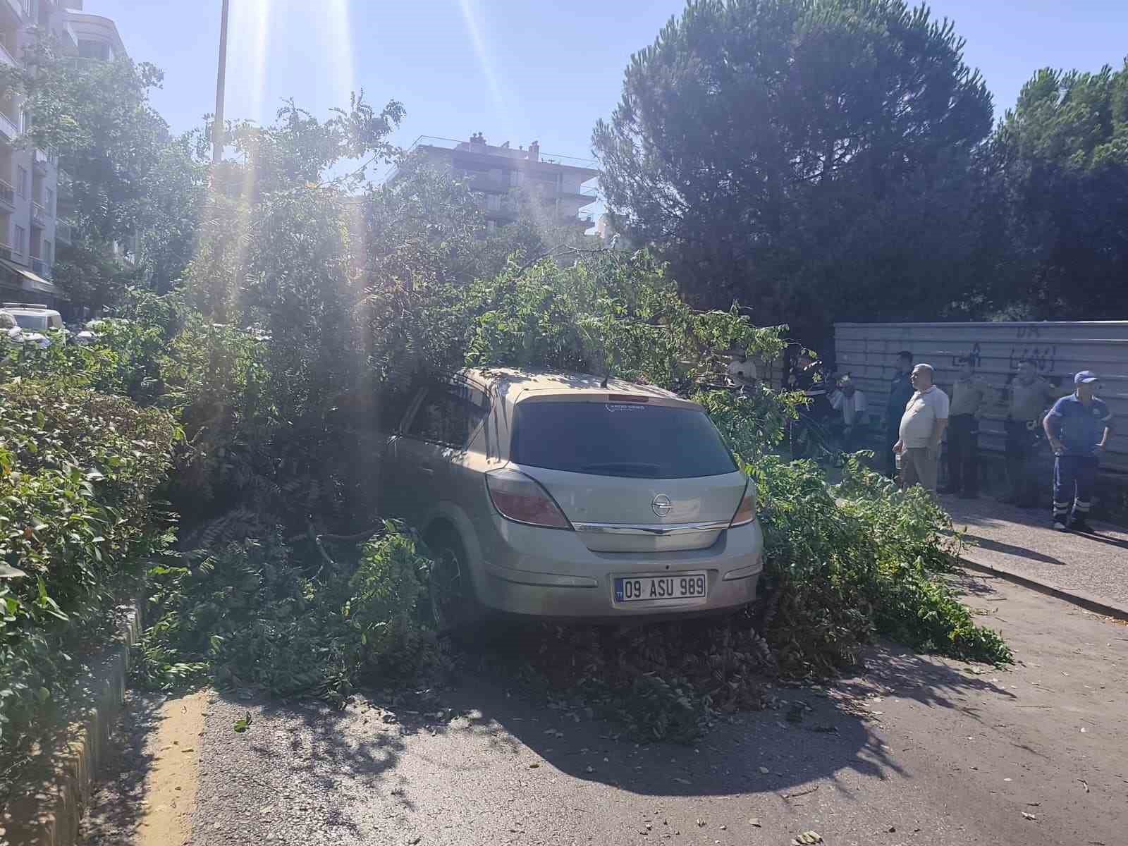 Seyir halindeki otomobilin üzerine ağaç devrildi