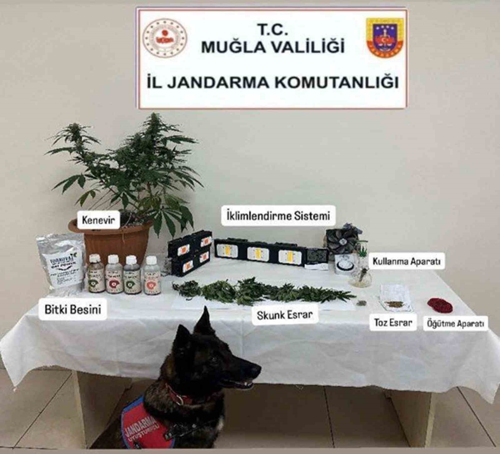 Jandarma ekiplerinin uyuşturucu ve sahte alkol denetimleri sürüyor