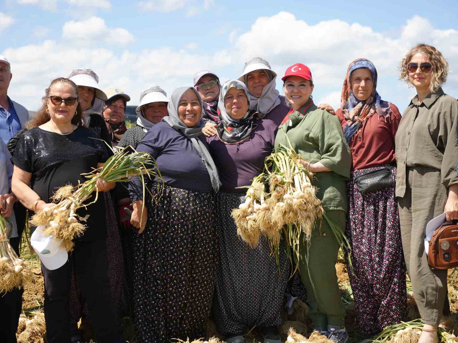 Dünyaca ünlü Taşköprü sarımsağının hasadı başladı