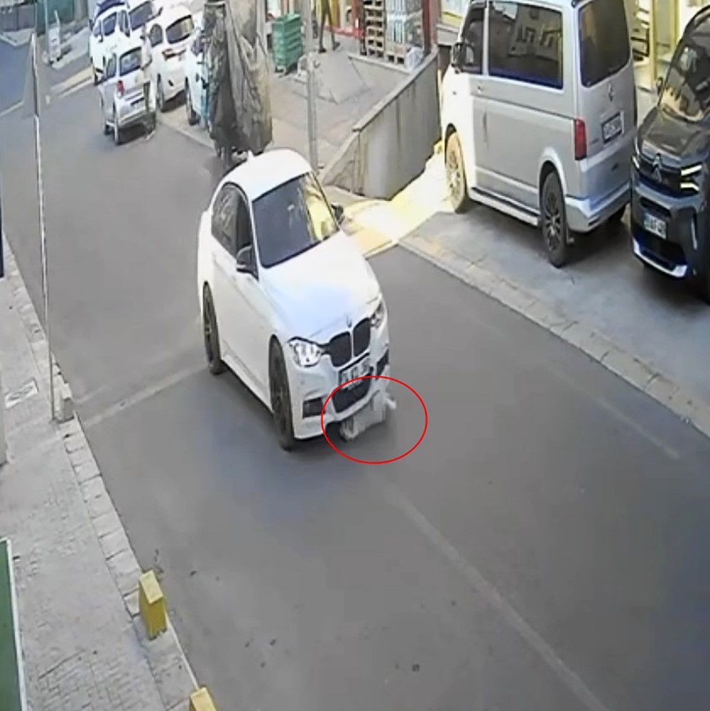 Tekirdağ’da mahallenin maskotu Yumak’a araba çarptı