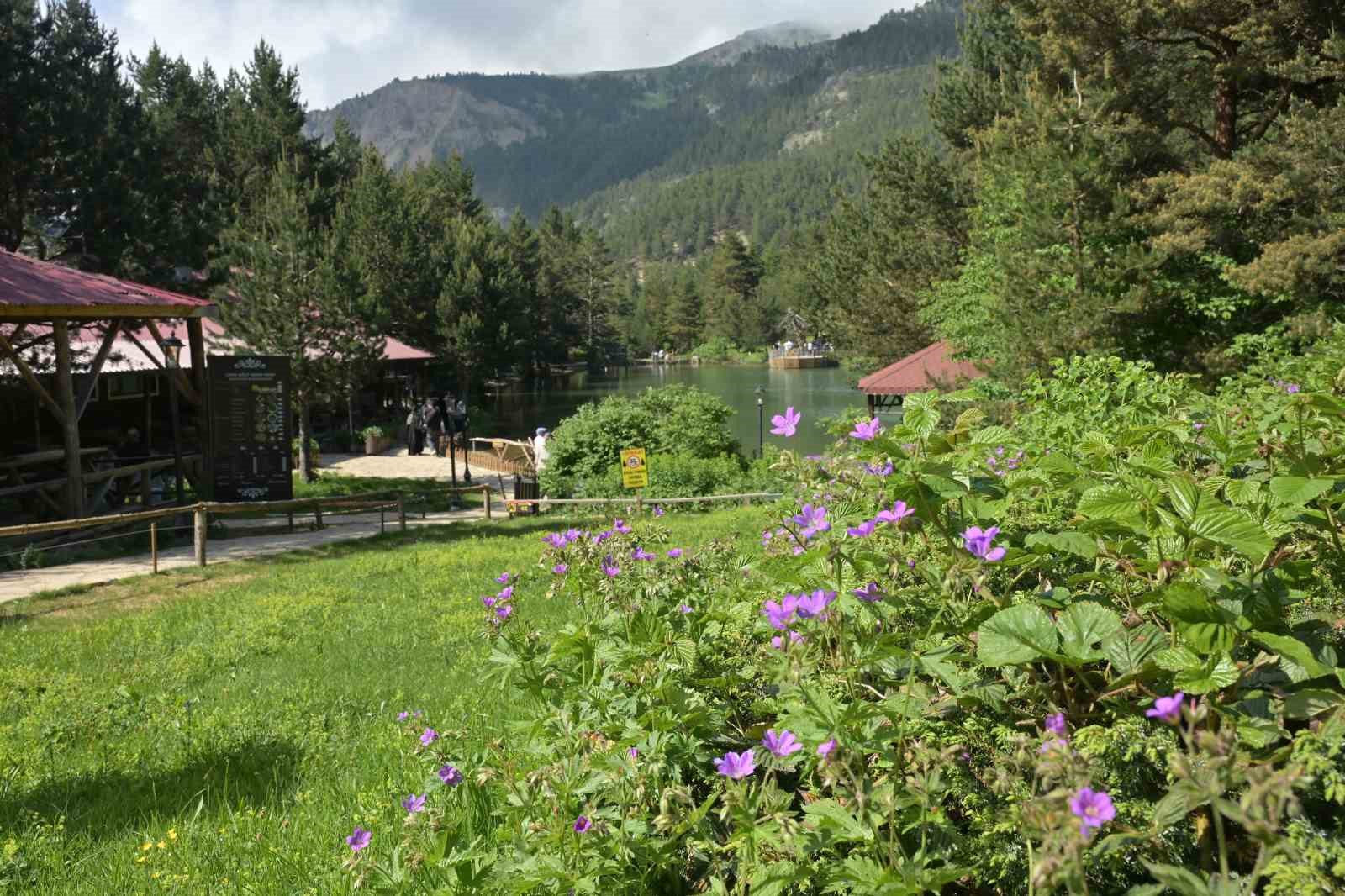 Limni Gölü Tabiat Parkı yaz ortasında ziyaretçilerini sis ve serin havayla karşılıyor