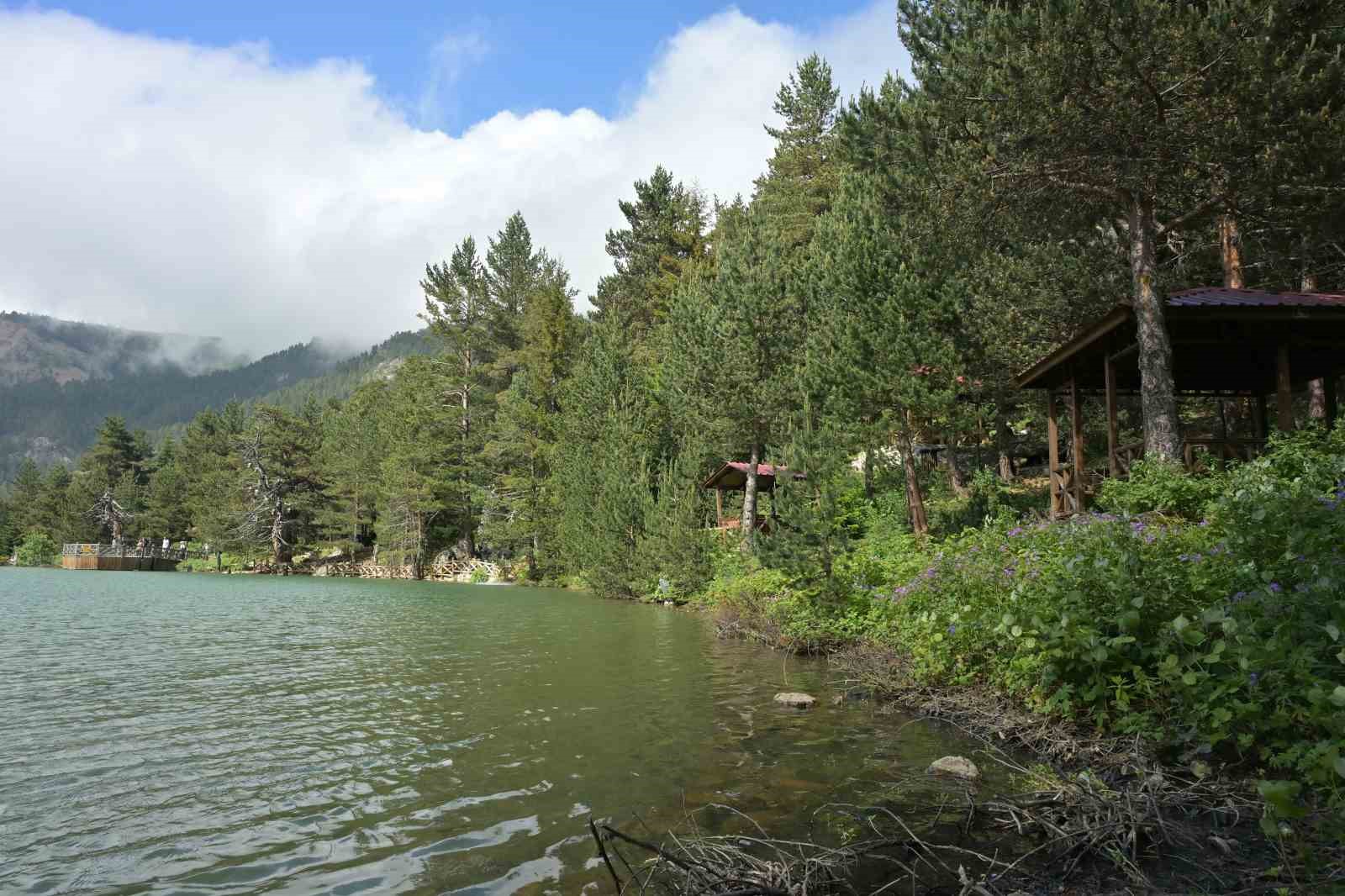 Limni Gölü Tabiat Parkı yaz ortasında ziyaretçilerini sis ve serin havayla karşılıyor