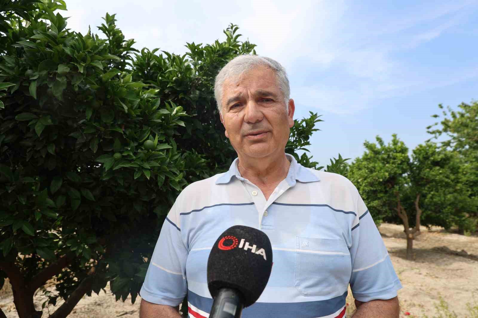 Narenciyede zararlılara karşı faydalı böcek seferberliği