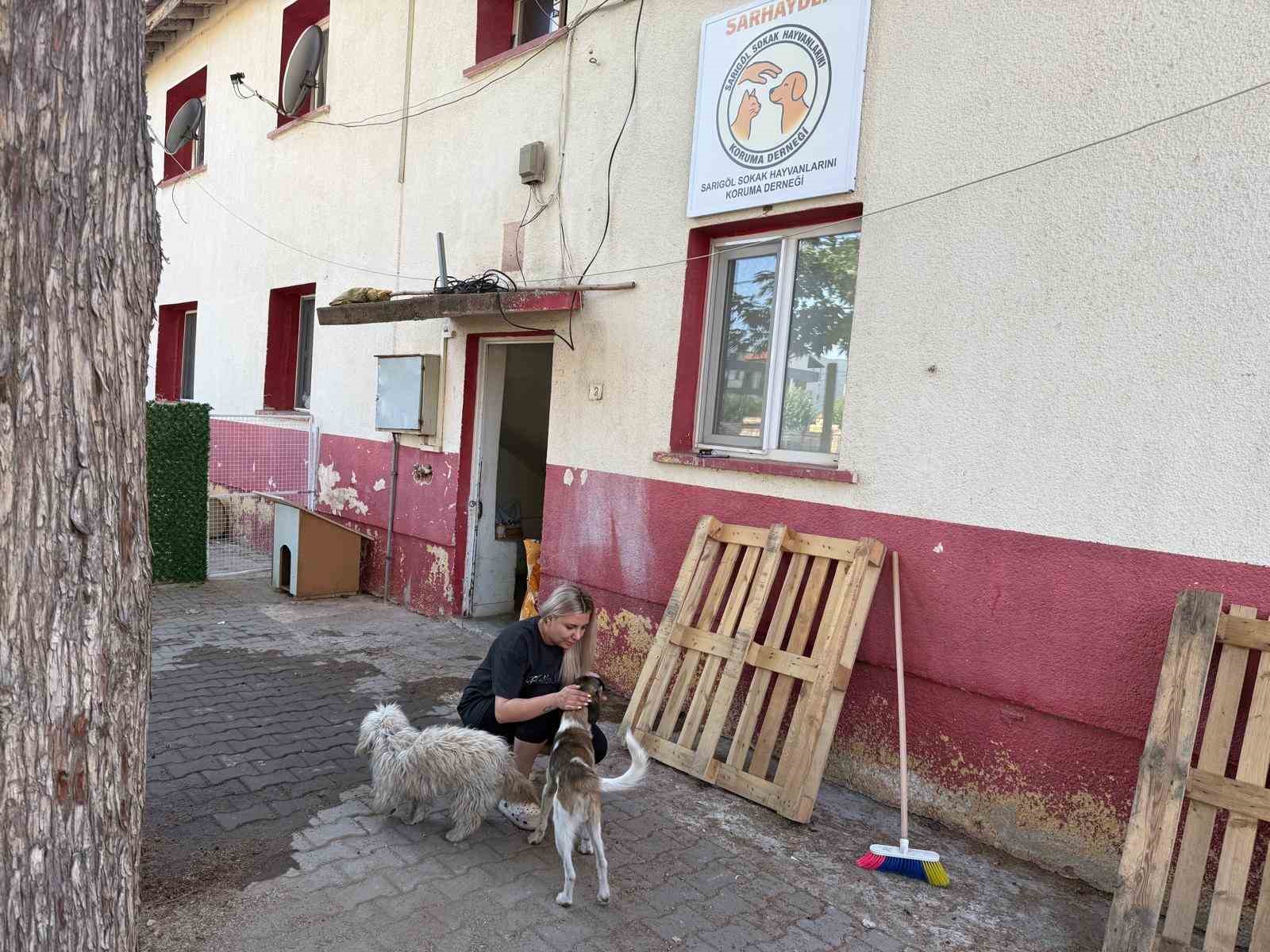 Sarıgöl’de sahipsiz hayvanlara umut oluyorlar