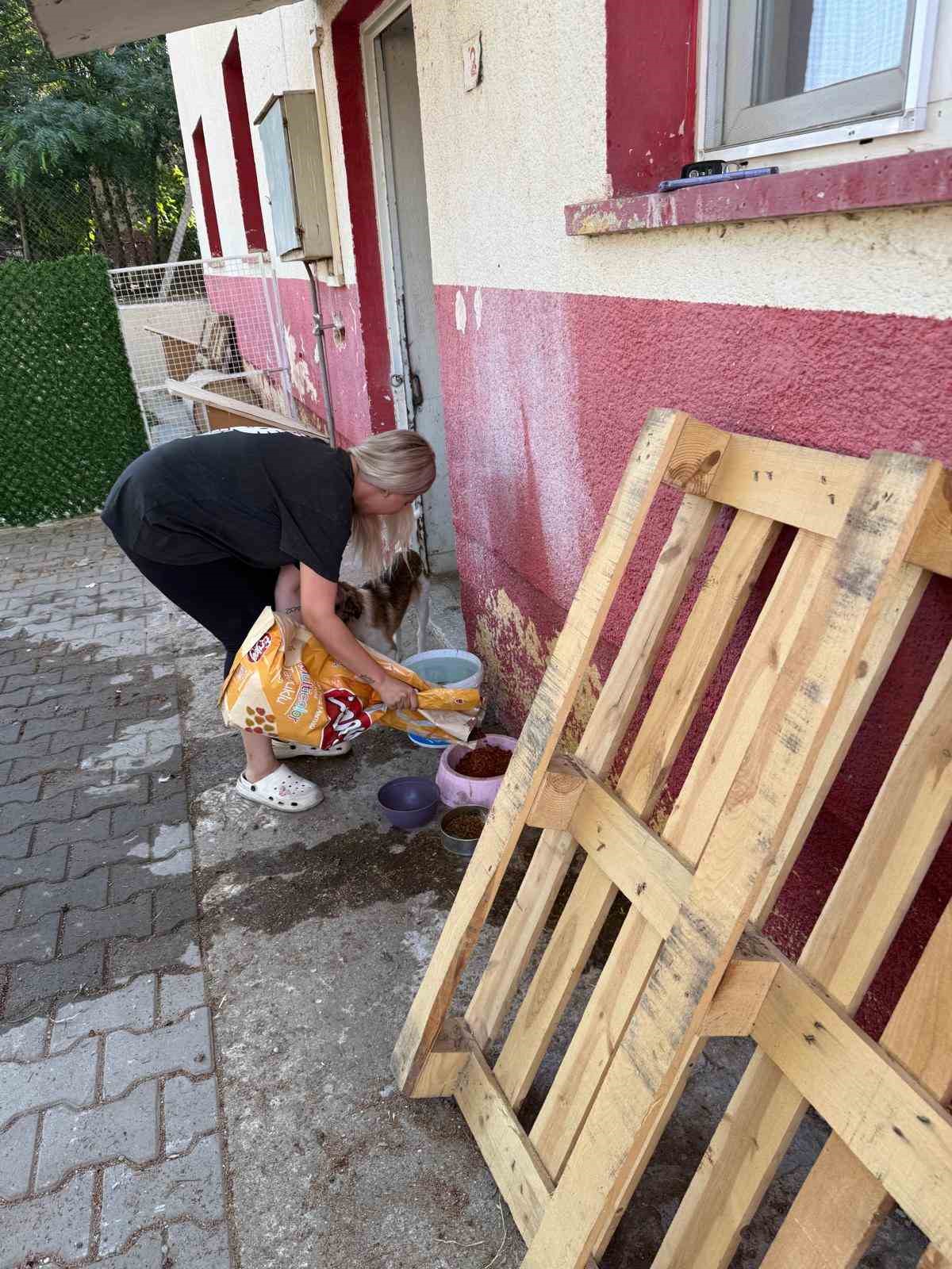 Sarıgöl’de sahipsiz hayvanlara umut oluyorlar