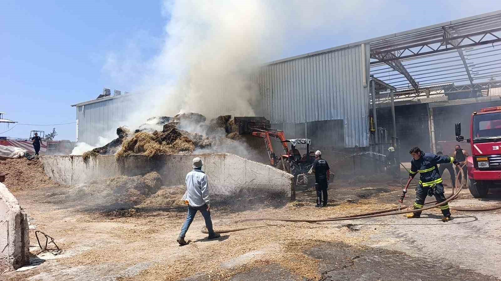 Antalya’da besihanede çıkan yangında 60 saman balyası kül oldu