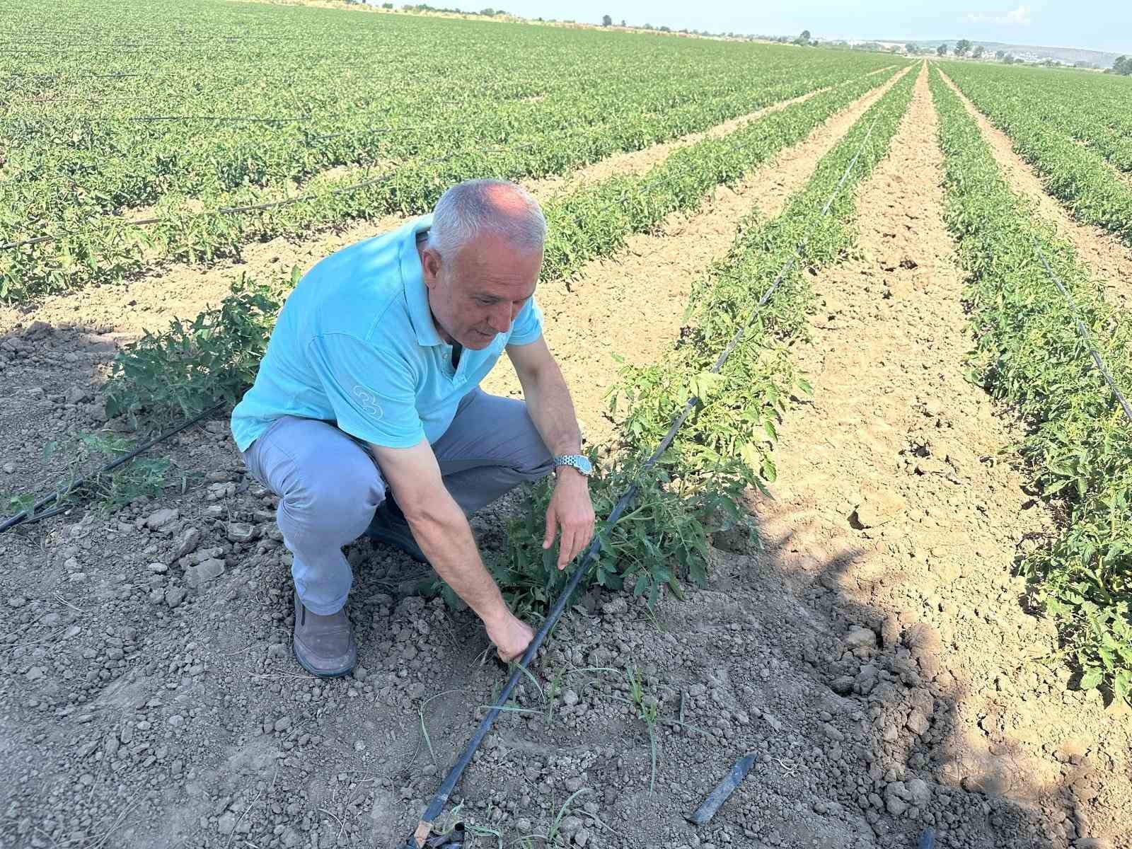 Sözleşme yaptığı firma ürünü almayınca 20 milyon lira zarar etti