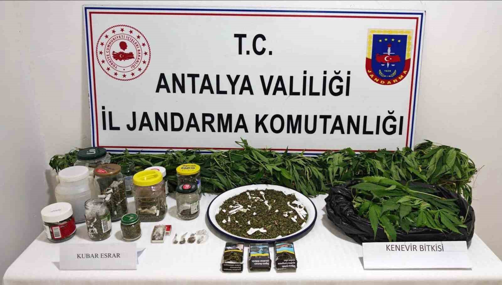 Manavgat’ta 2 kilo kubar esrar ve 130 kök kenevir ele geçirildi