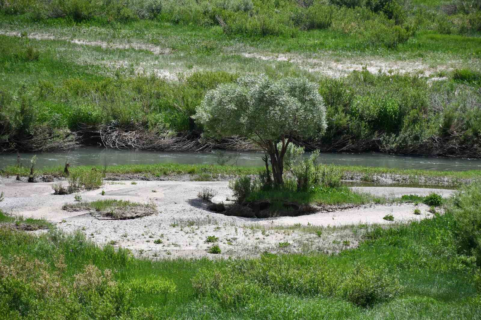 Şırnak’ta menderesler görsel şölen sundu
