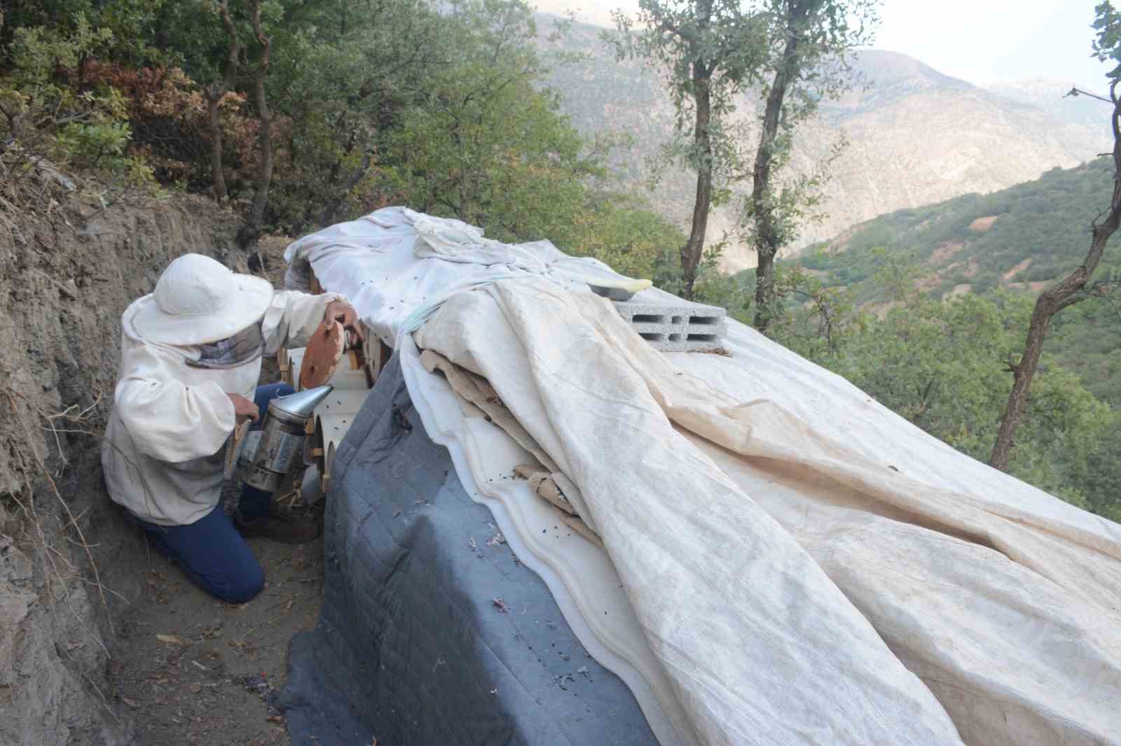 Bitlis’in ödüllü Hizan karakovan balı, NATO Zirvesi menüsünde