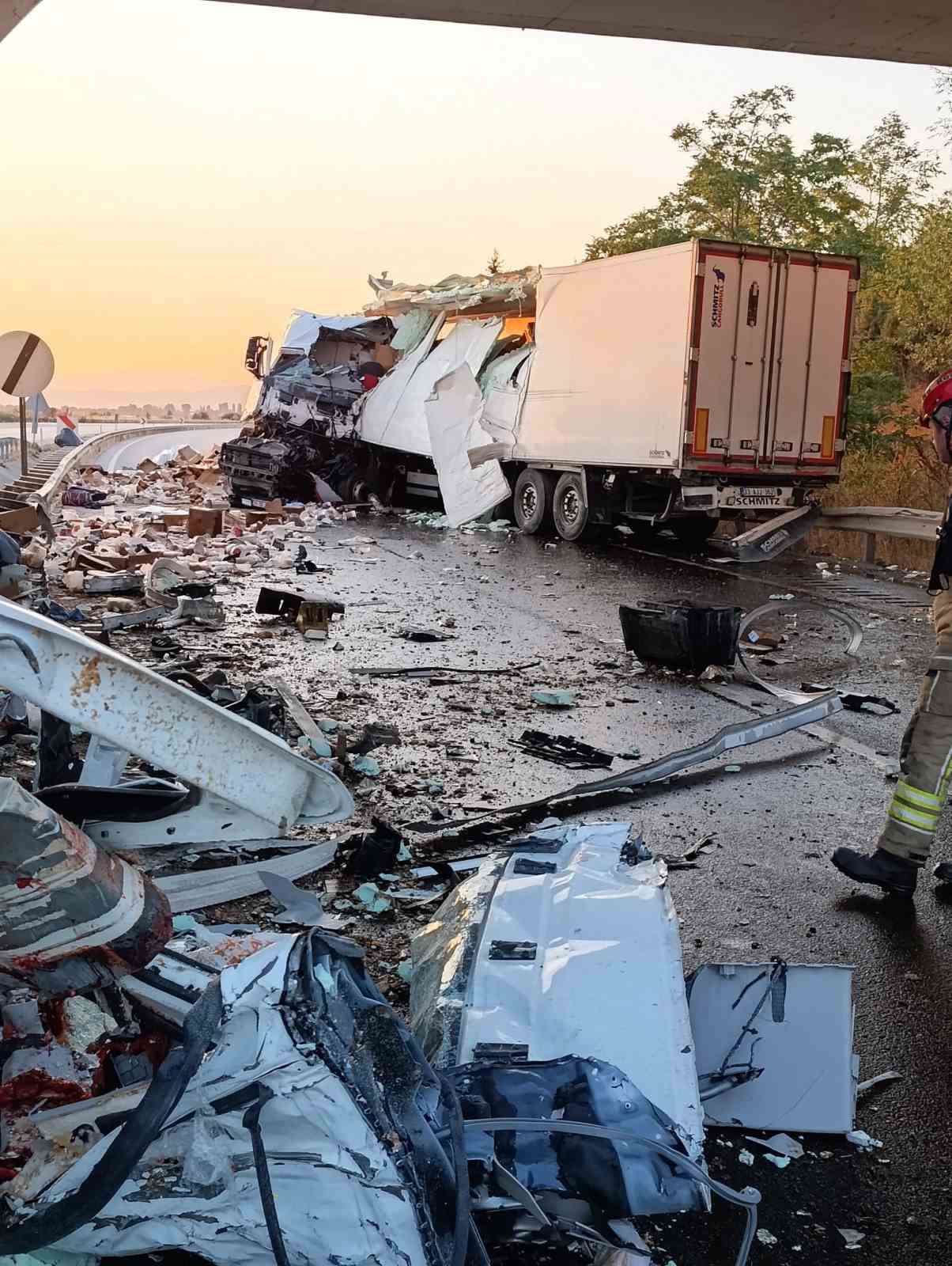 Köprüdeki beton bariyere çarpan tavuk yüklü kamyonun sürücüsü hayatını kaybetti