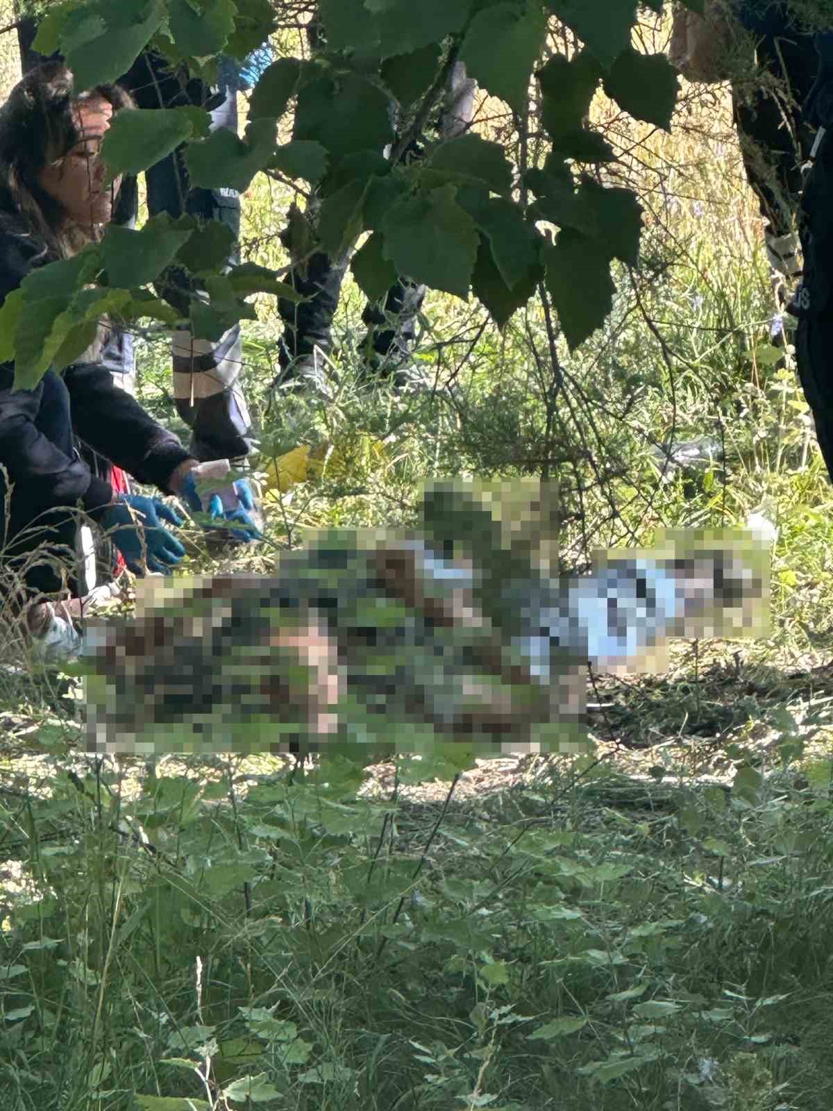 Eskişehir’de bir kişi ağaçlık alanda ölü bulundu