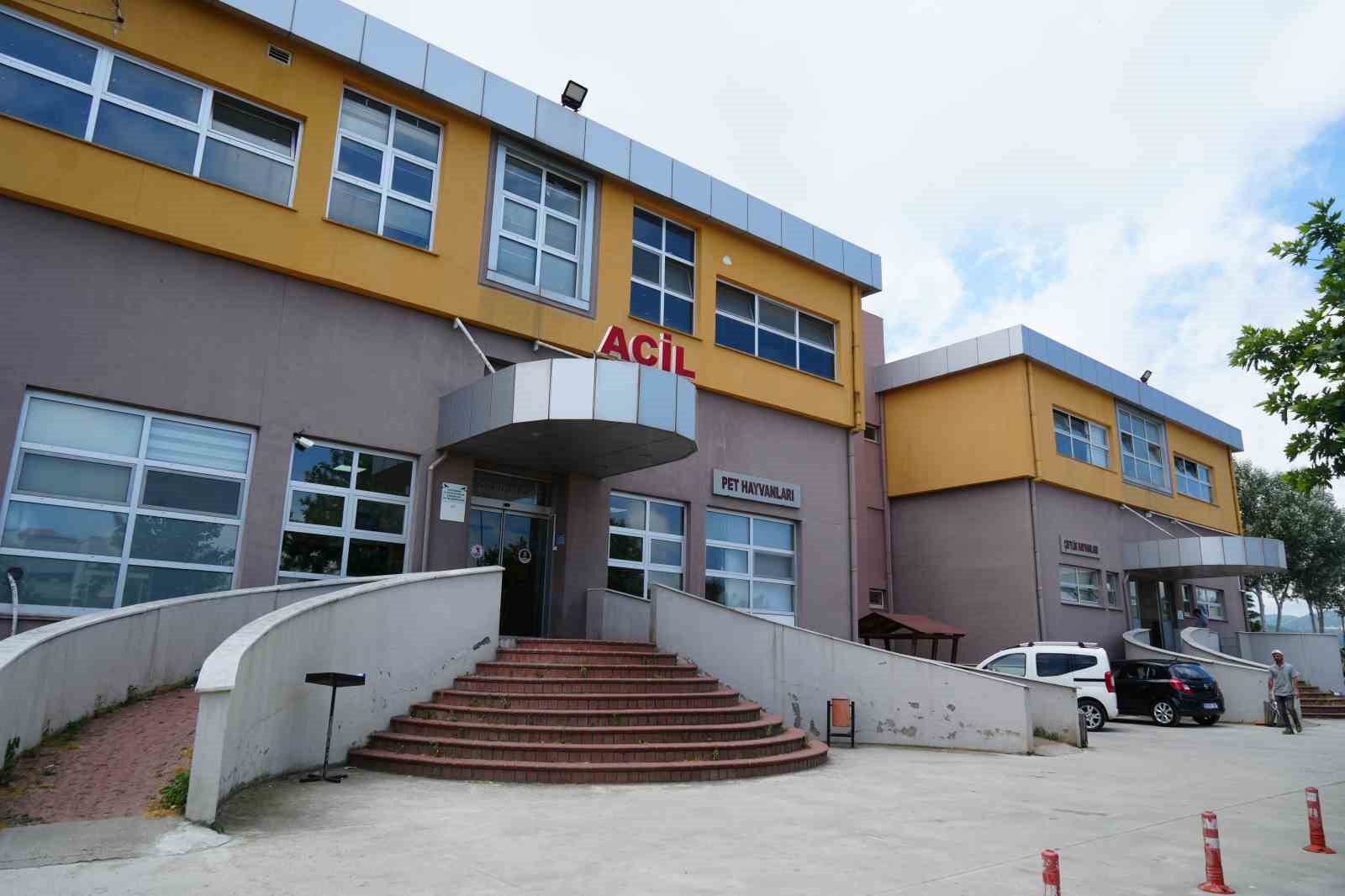 Asfalt patileri yakıyor, pisi pisi otu tehlike saçıyor: Uzmanından sıcak hava uyarısı