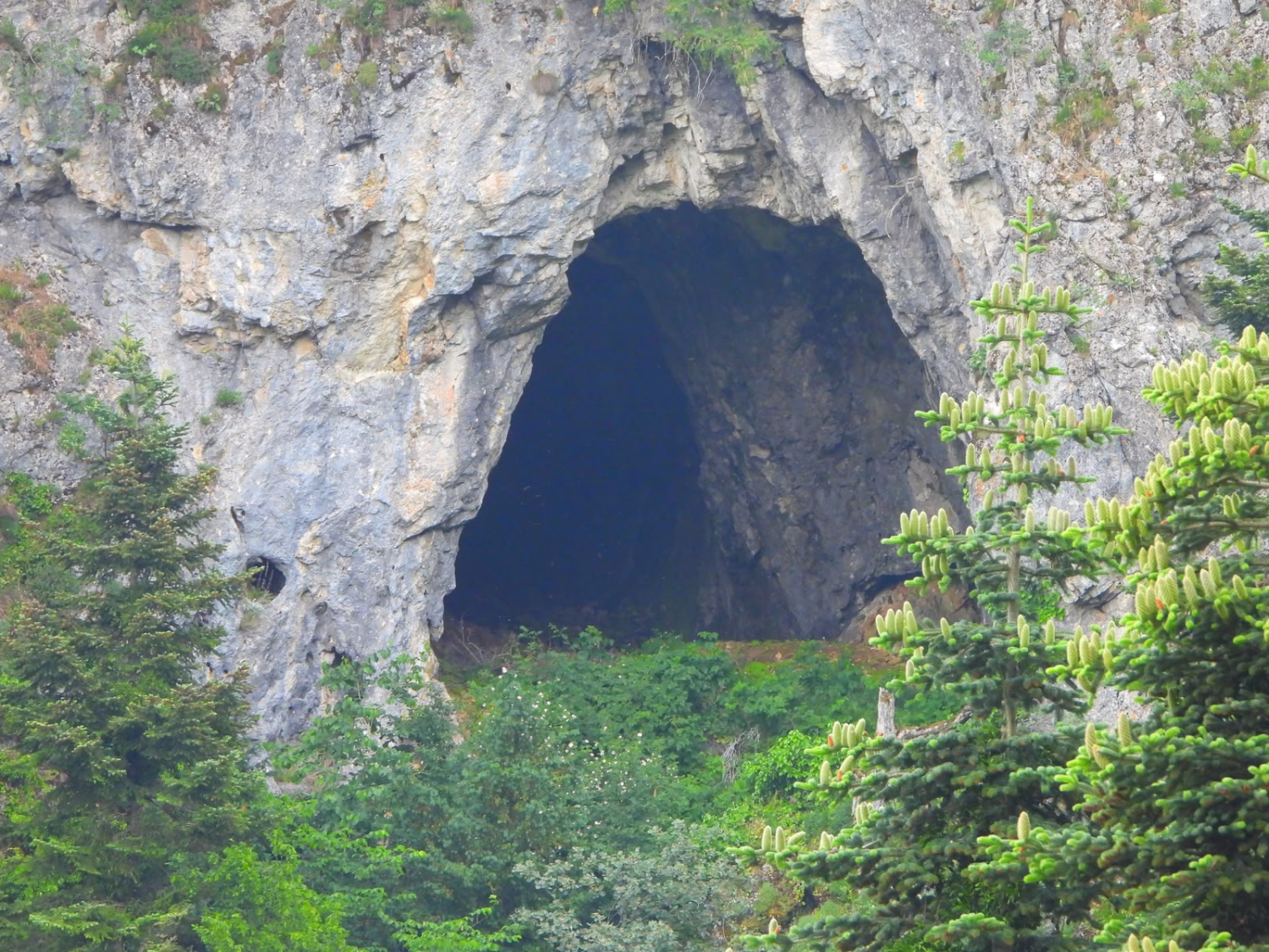 İnegöl Belediyesi’nden doğa turizmi için tarihi adım