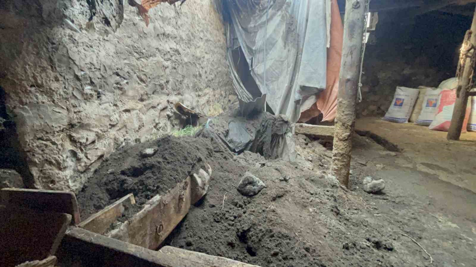 Kars’ta sağanak yağış ahırı çökertti