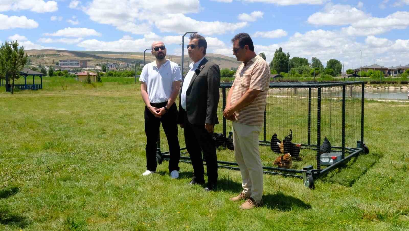 Keneyle mücadelede gezici tavuk kümesi uygulaması