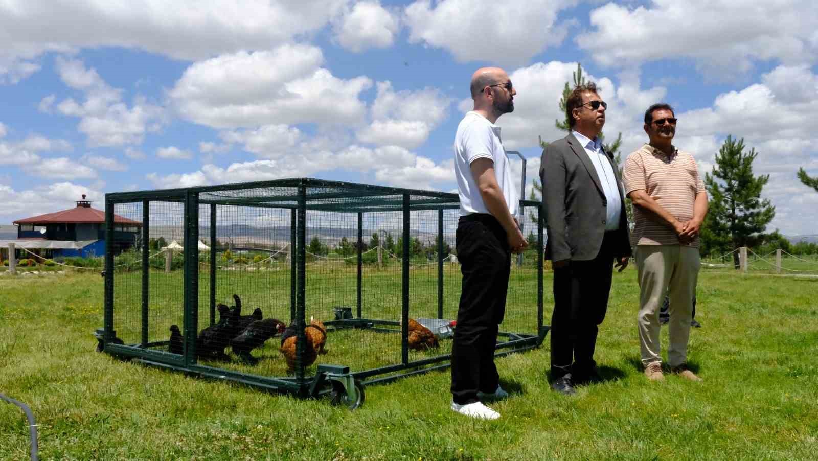 Keneyle mücadelede gezici tavuk kümesi uygulaması
