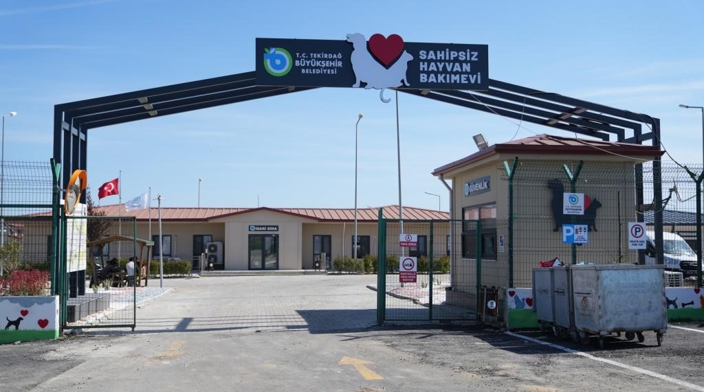 Tekirdağ’da 5 binden fazla sahipsiz hayvana umut oldular