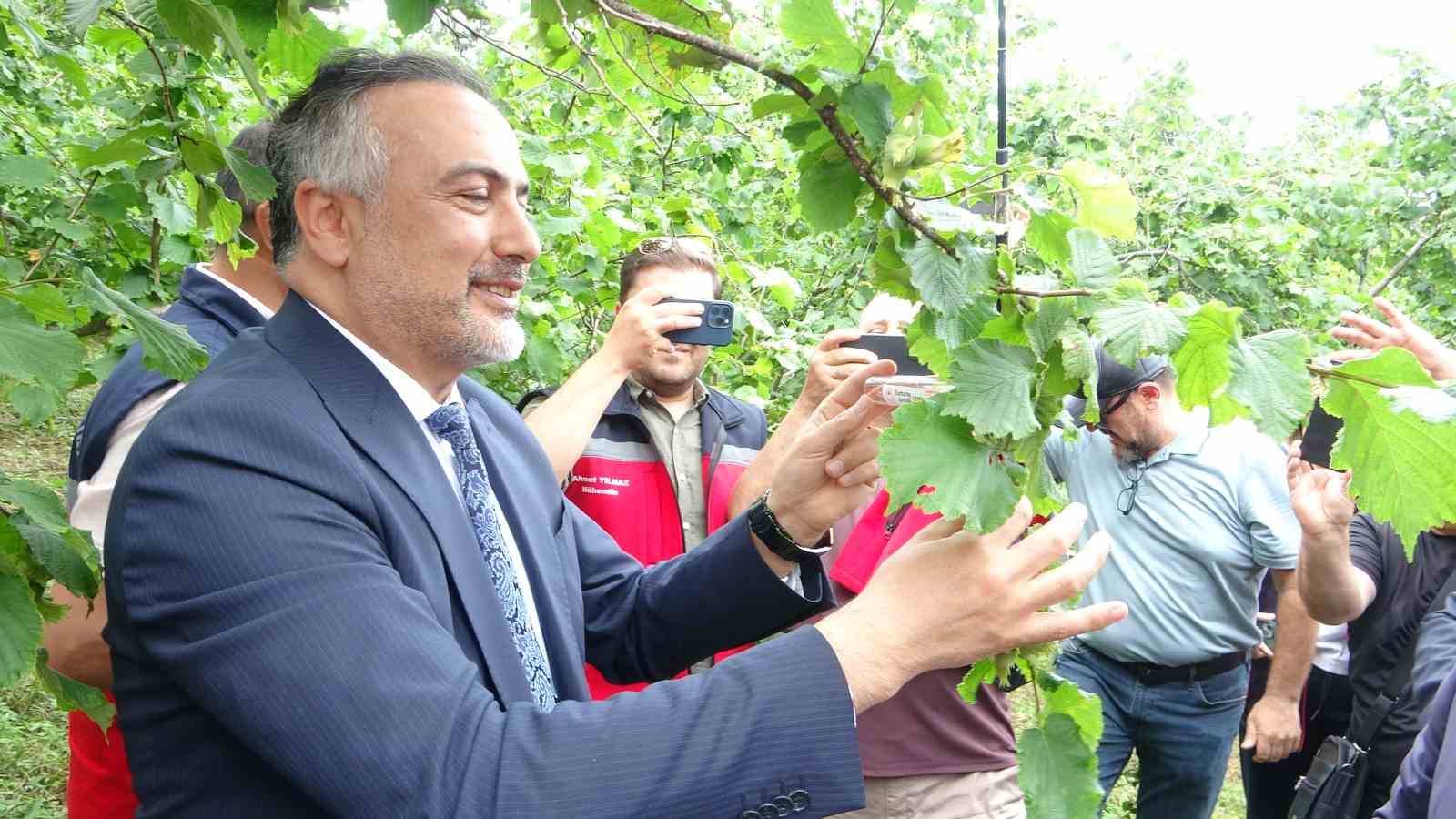 Giresun’da kahverengi kokarcaya karşı 130 bin samuray arısı doğaya salındı