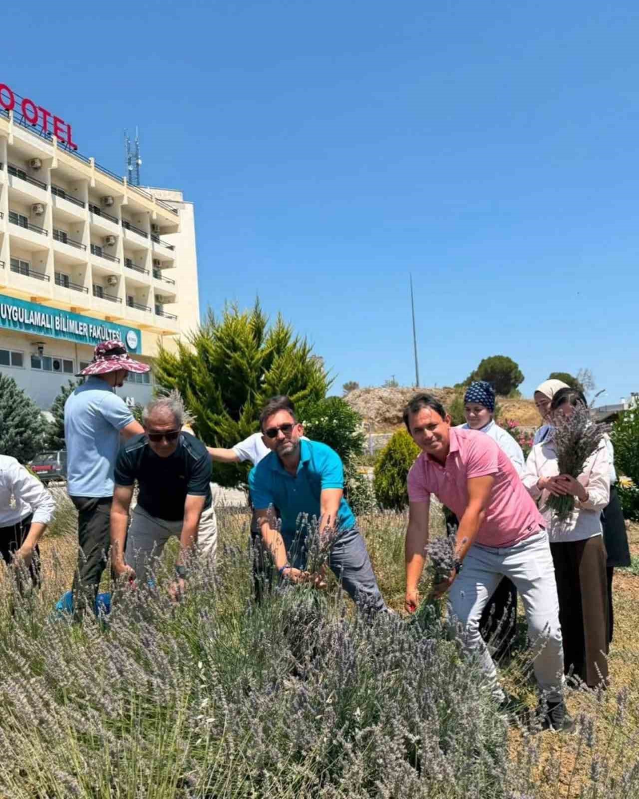 Lavanta kokulu okulda hasat heyecanı yaşandı