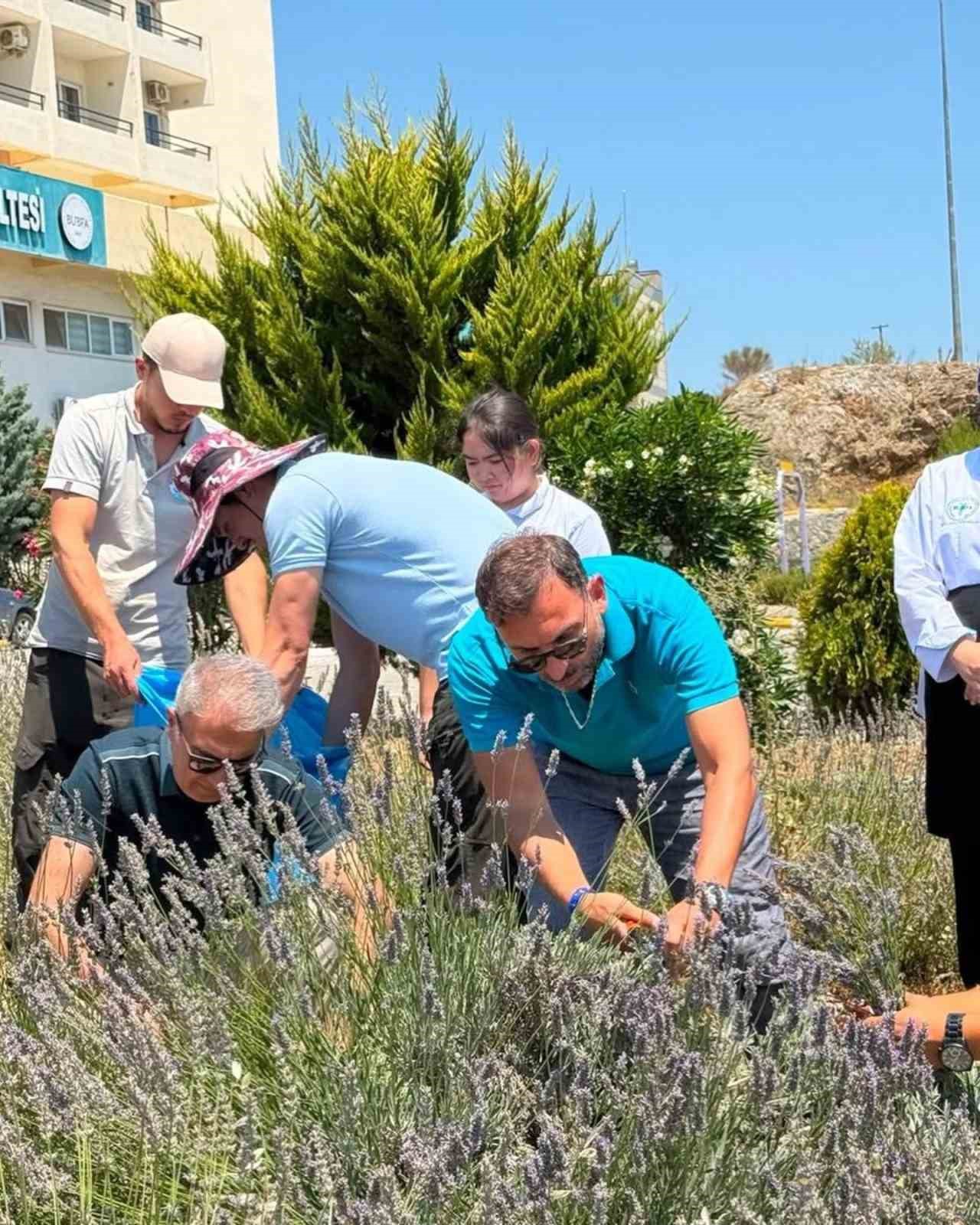 Lavanta kokulu okulda hasat heyecanı yaşandı