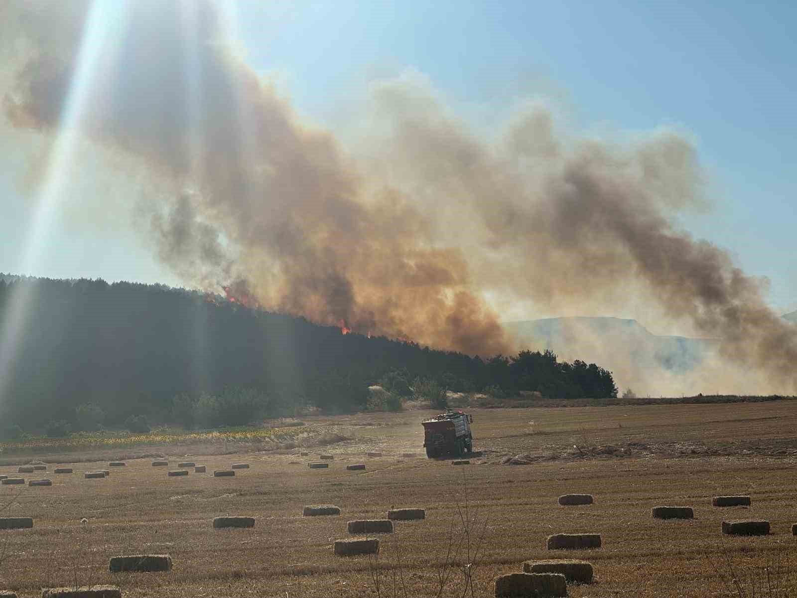 Bilecik’te anız yangını ormanlık alana sıçradı: Alevlere havadan ve karadan müdahale sürüyor