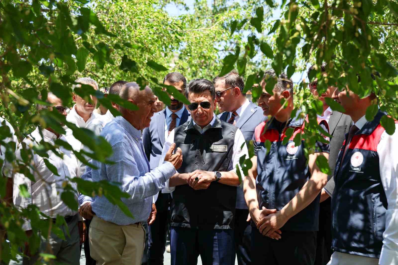 Ulukale dutunda bu yıl 650 ton rekolte beklentisi