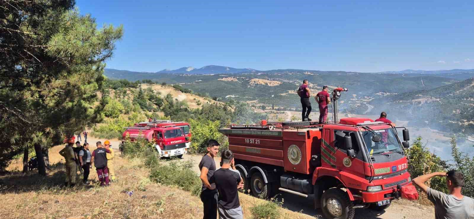Yangında 85 arı sandığı kül oldu