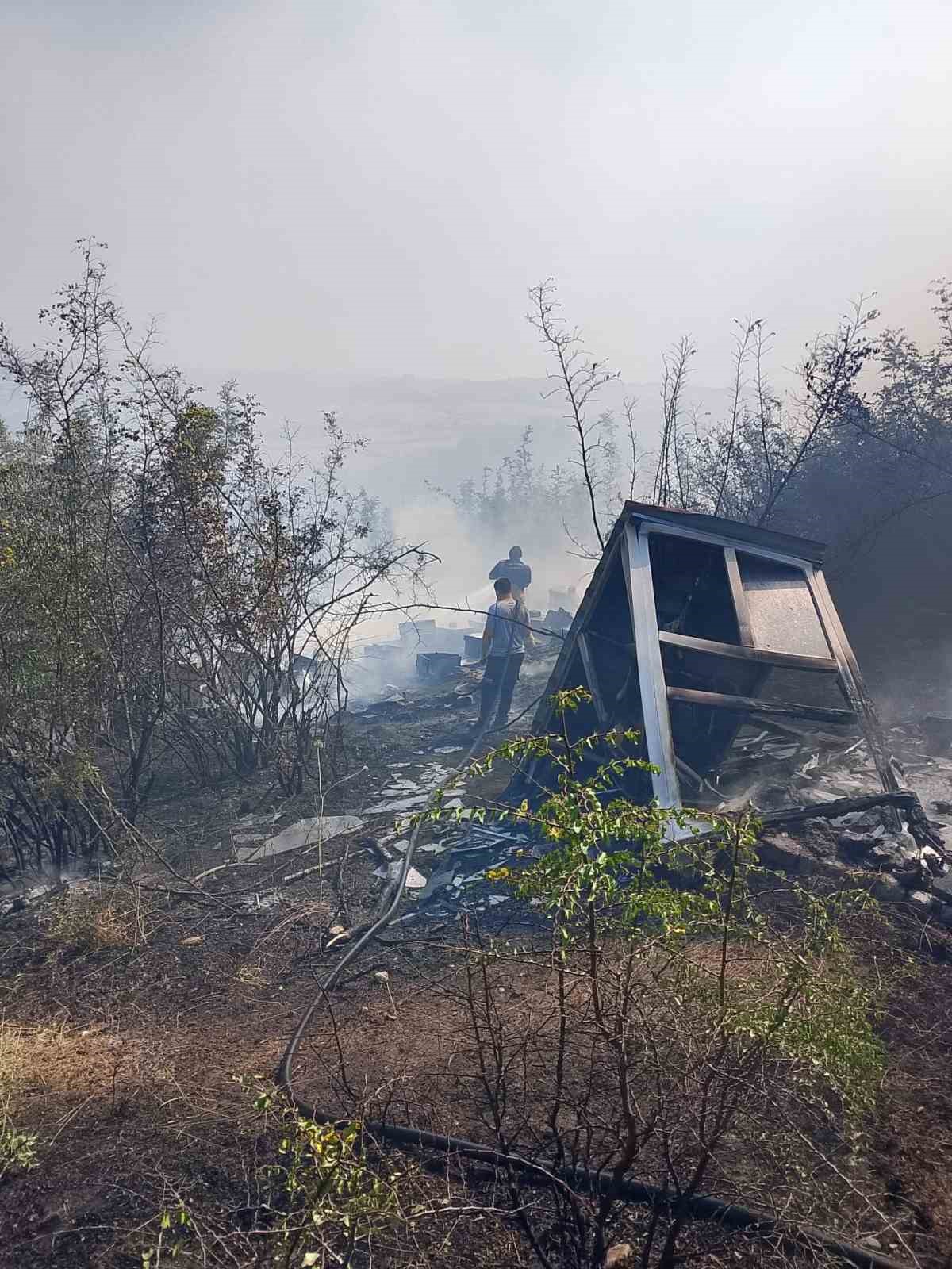 Yangında 85 arı sandığı kül oldu