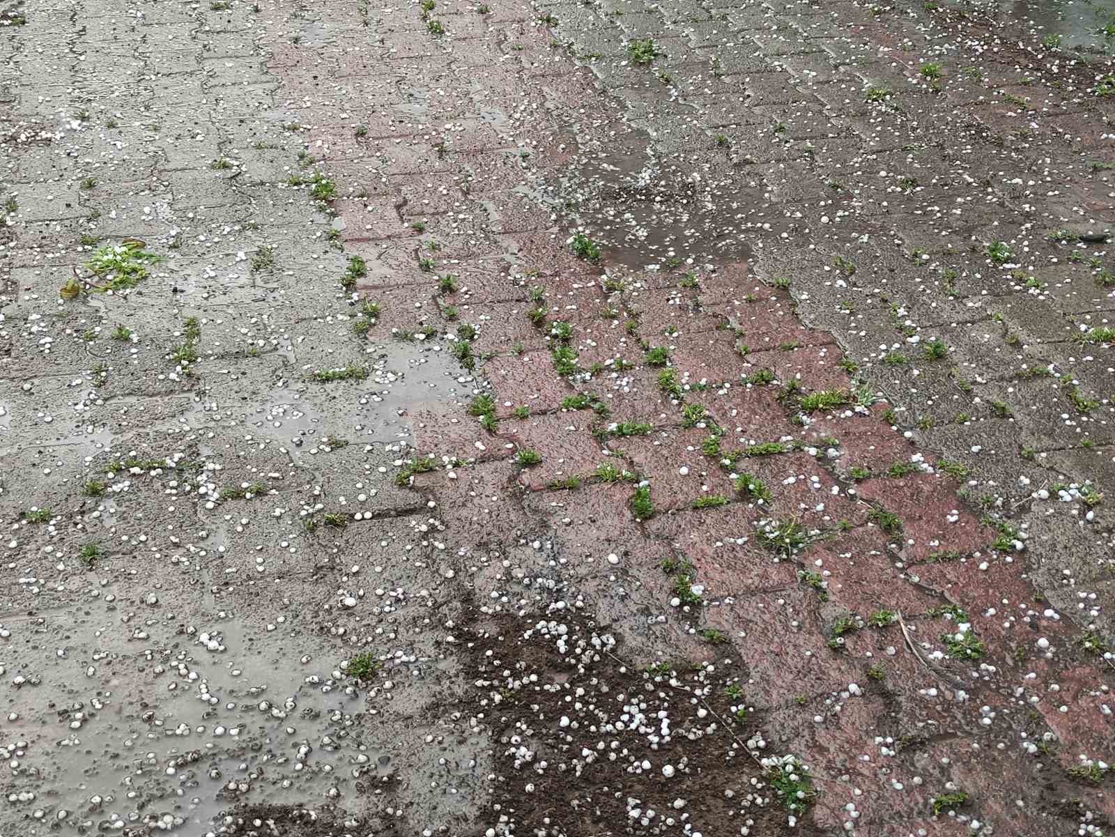 Ardahan’da sağanak ve dolu yağışı tarım arazilerine zarar verdi