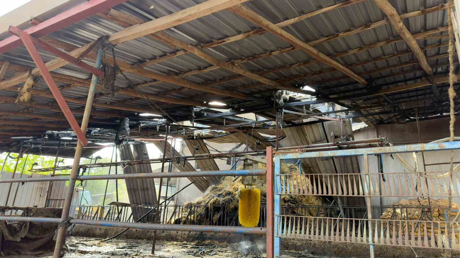 Burdur’da ahırda çıkan yangın korkuttu